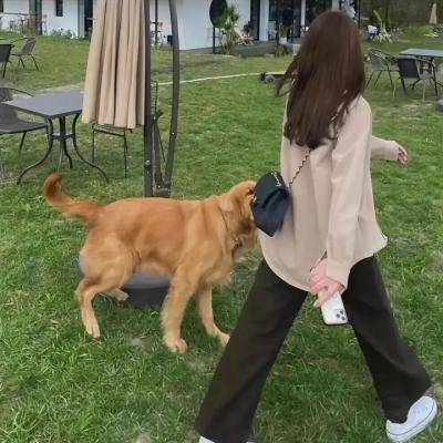 相信·爱